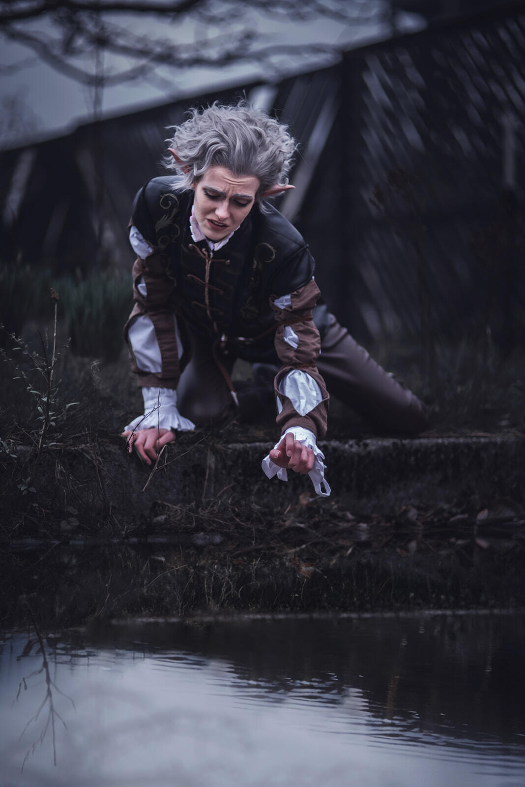 Alasdair Watson Photography