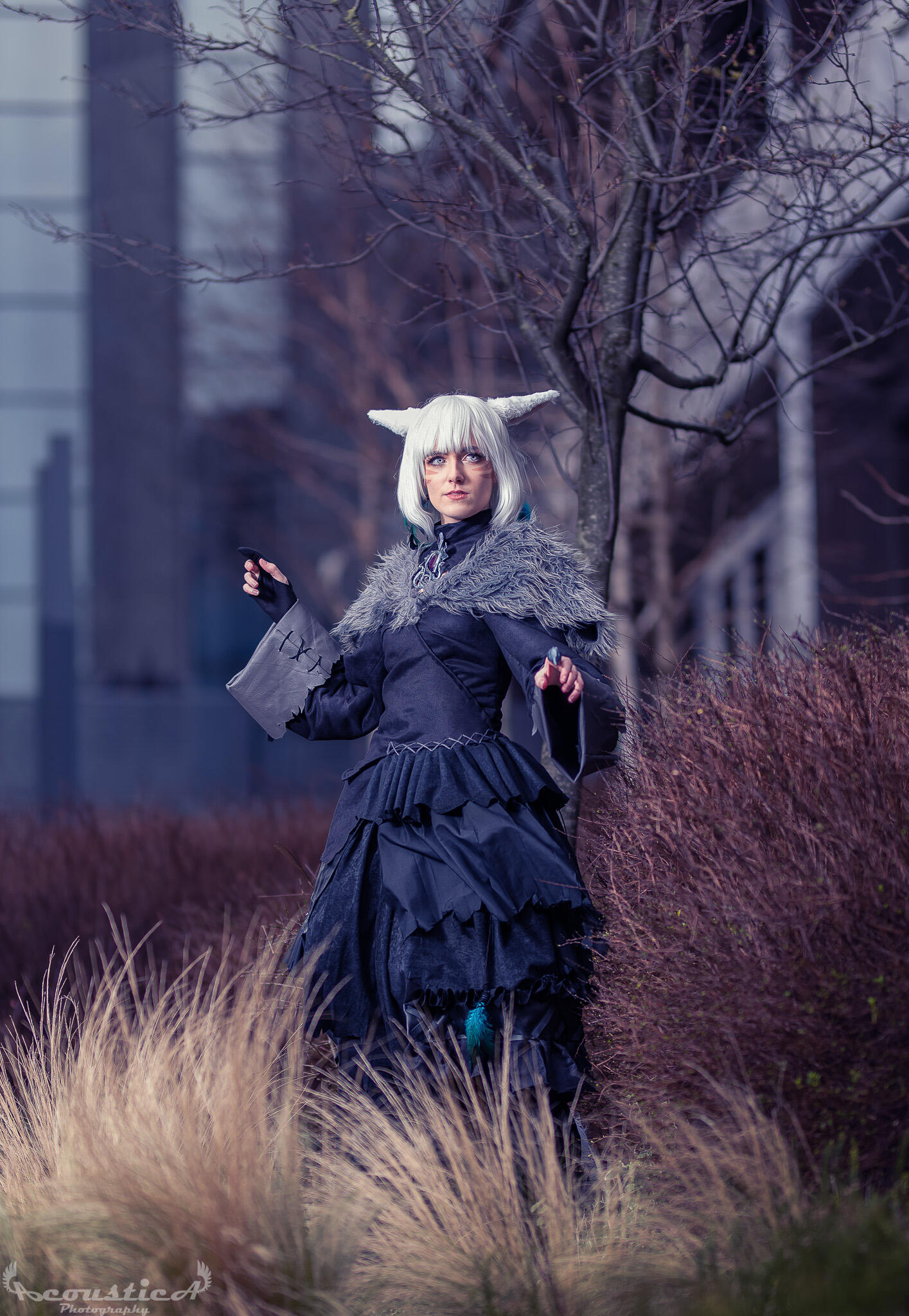 Image: Acoustica Photography